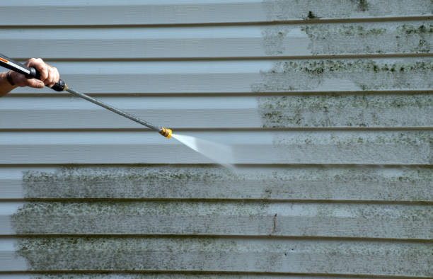 Best Building Exterior Washing  in Hainesvle, IL