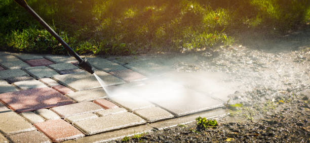 Best Sidewalk and Walkway Cleaning  in Hainesvle, IL